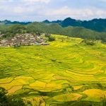 Gaoyao rice terrace in Guizhou
